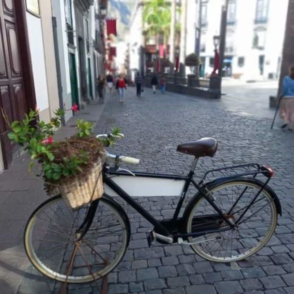 Фотография автора Nieves Gloria Alvarez Diaz