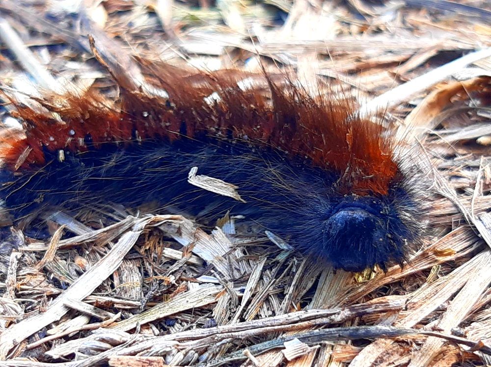 Photograph by Екатерина