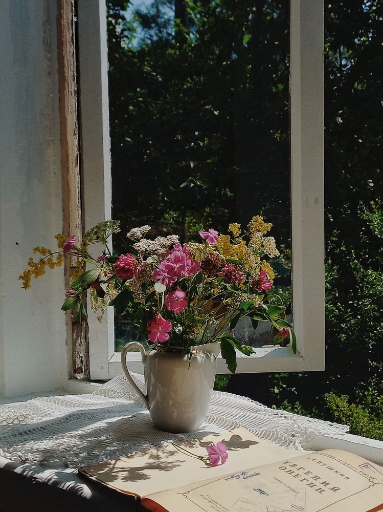 Photo #11326139