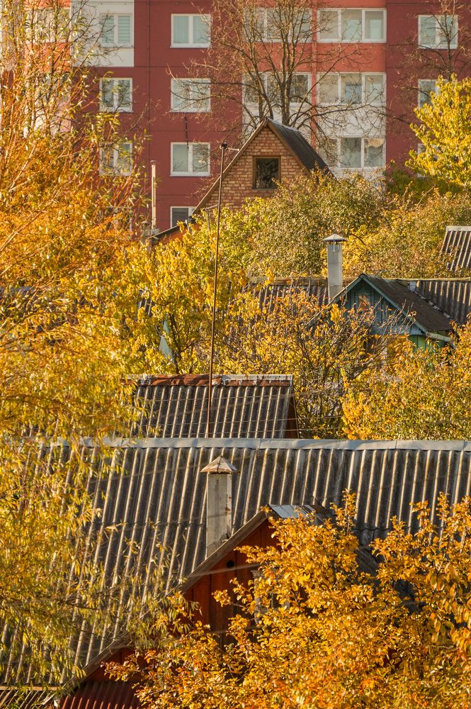 Фотография автора Максим Светличный
