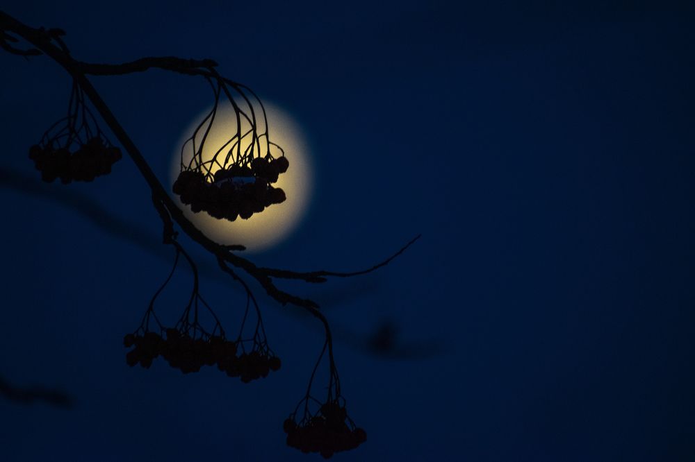 Photograph by Ахсарбек Абаев