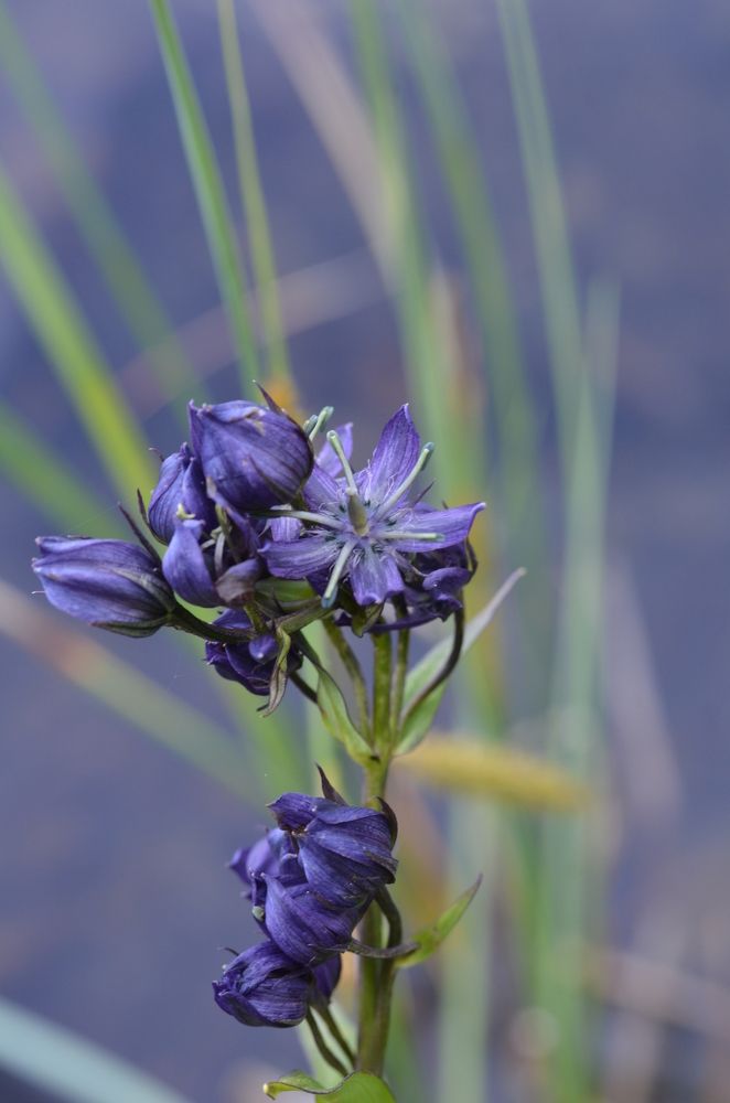 Photograph by Людмила Воропаева