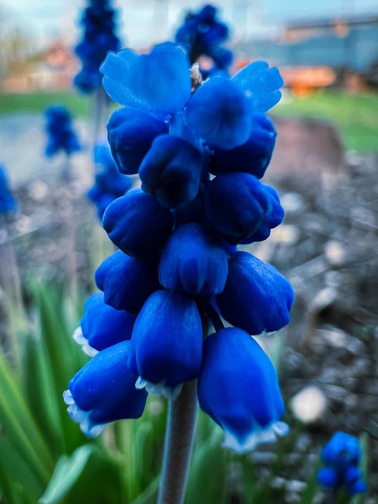 Photograph by Евгений Беляев