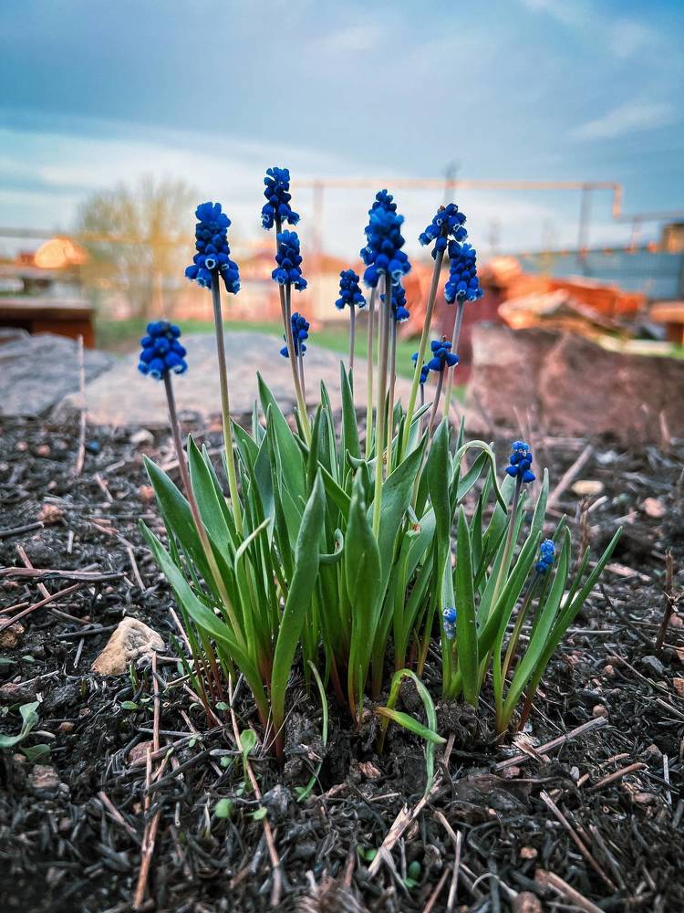 Photograph by Евгений Беляев