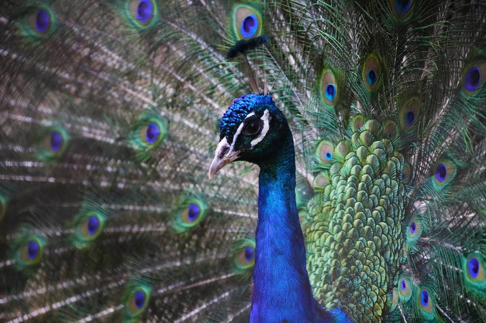 Photograph by Анастасия Подгрушная