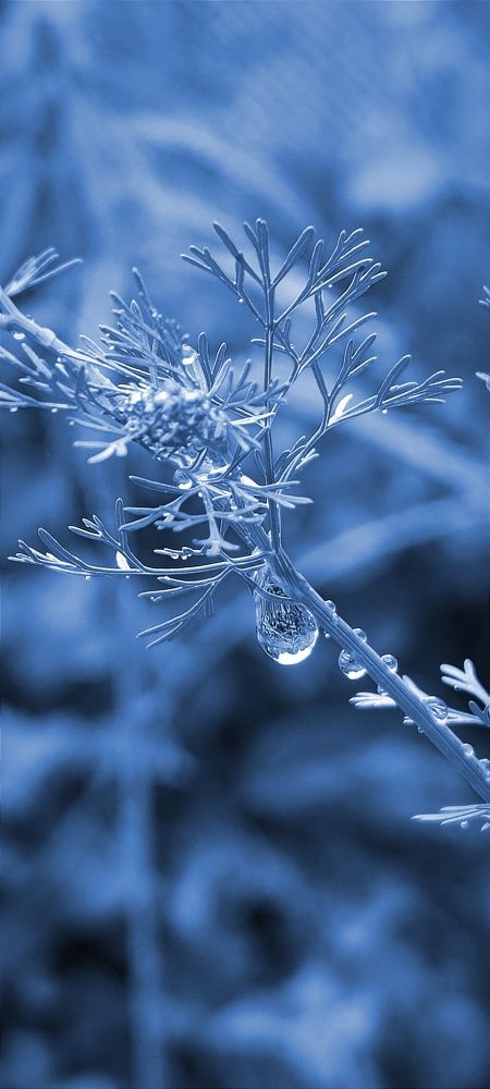 Photograph by Nаtaliia Zolotova