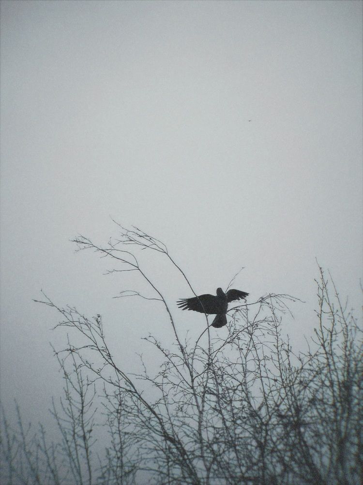 Фотография автора Дарья Викторова