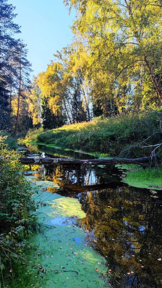 Photo #11326316