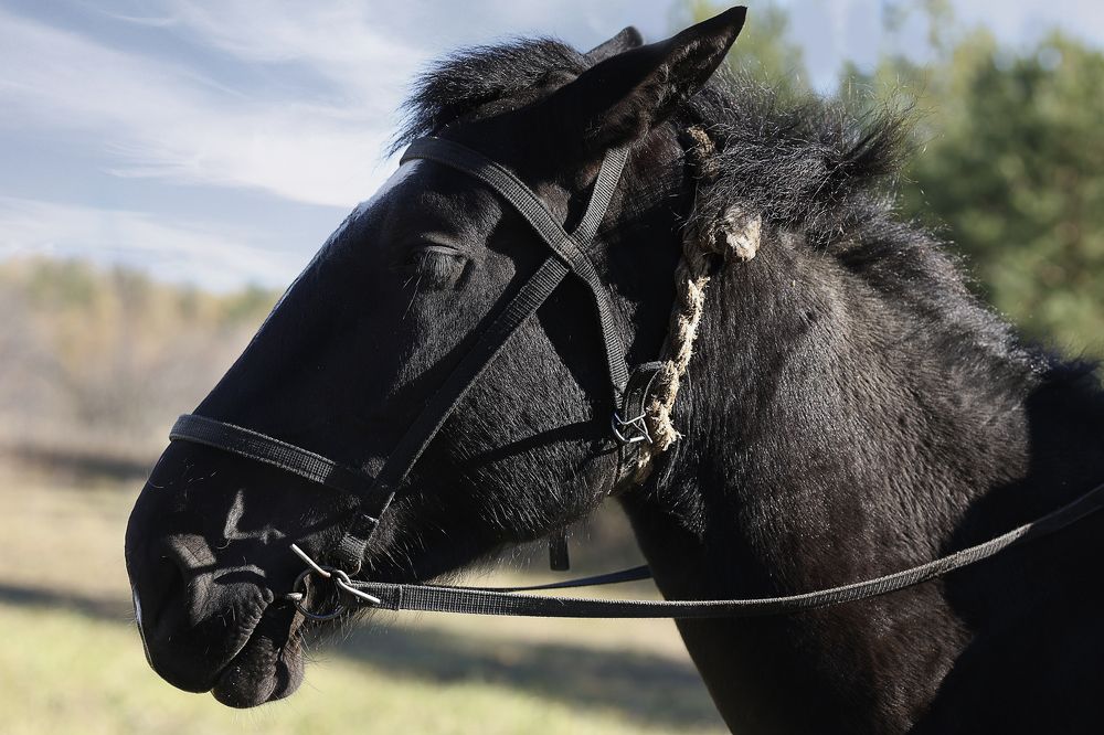 Photograph by Ирина Анцыгина