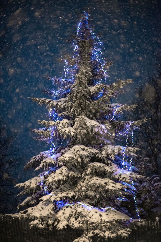 Photograph by Дария Ризниченко