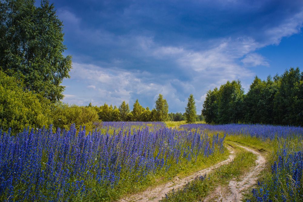 Photograph by Хвойнова Елена