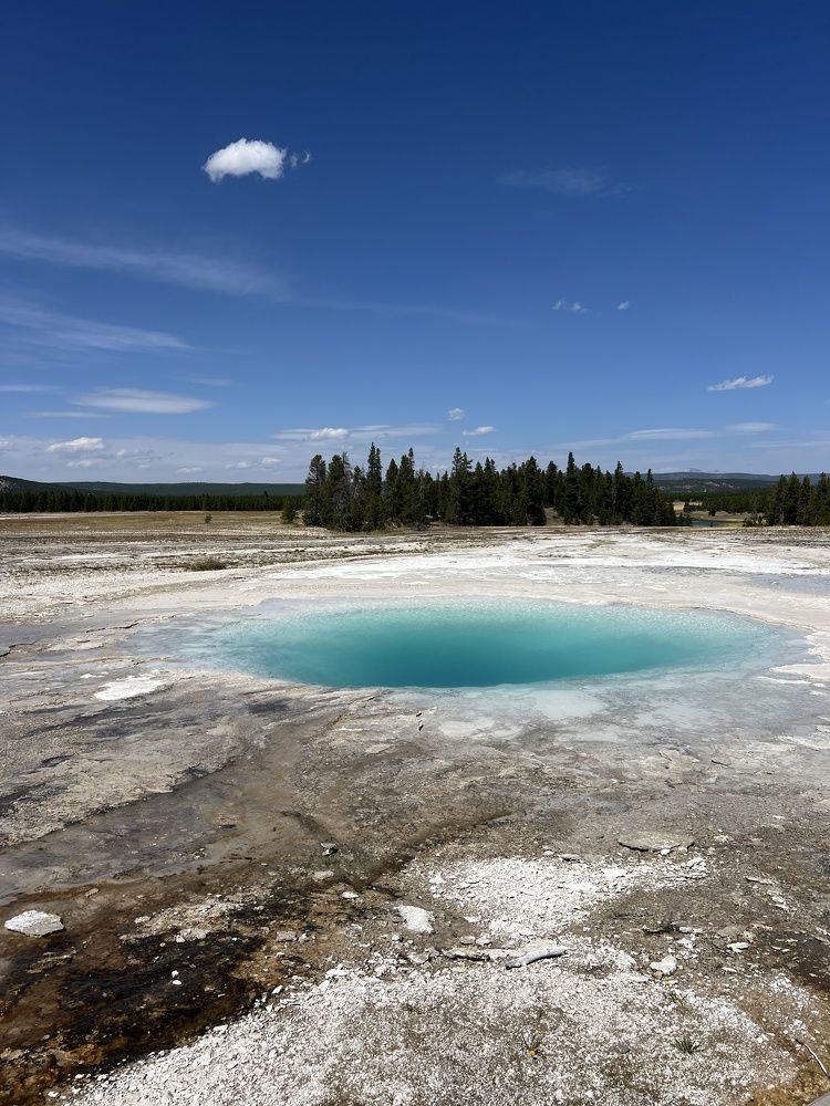 Фотография автора Diana