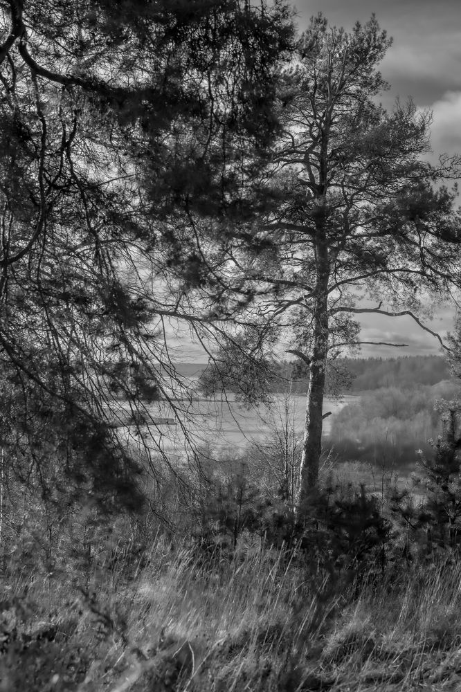 Photograph by Воробьёв Константин