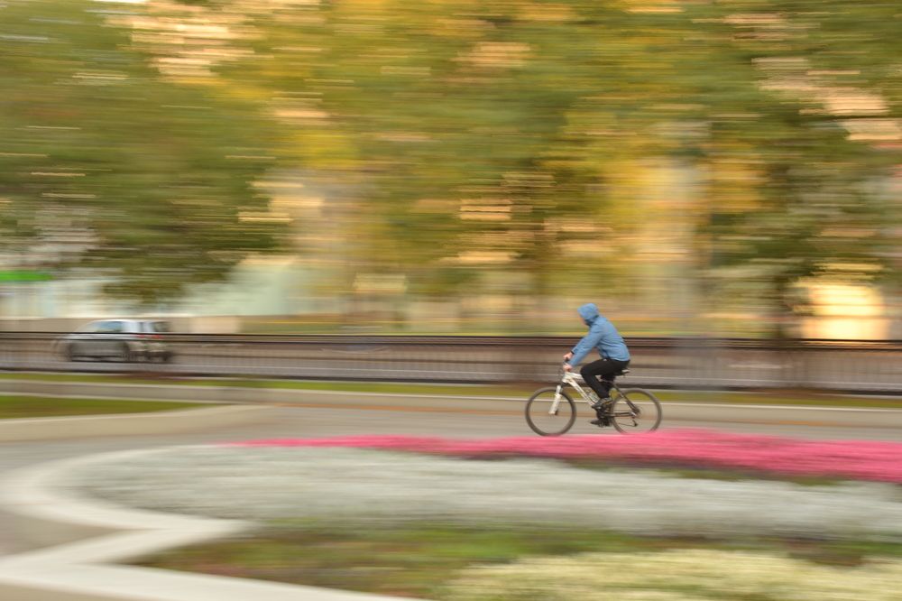 Photograph by Алексей Горин