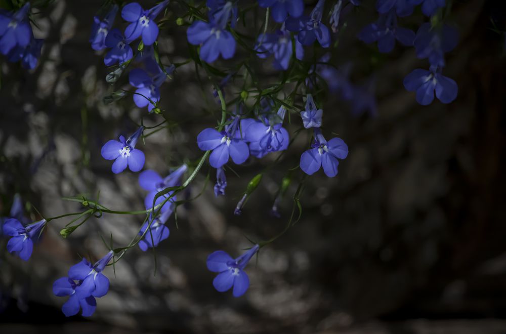 Photograph by Юлия Куликова