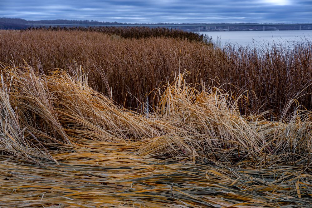 Photograph by Воробьёв Константин