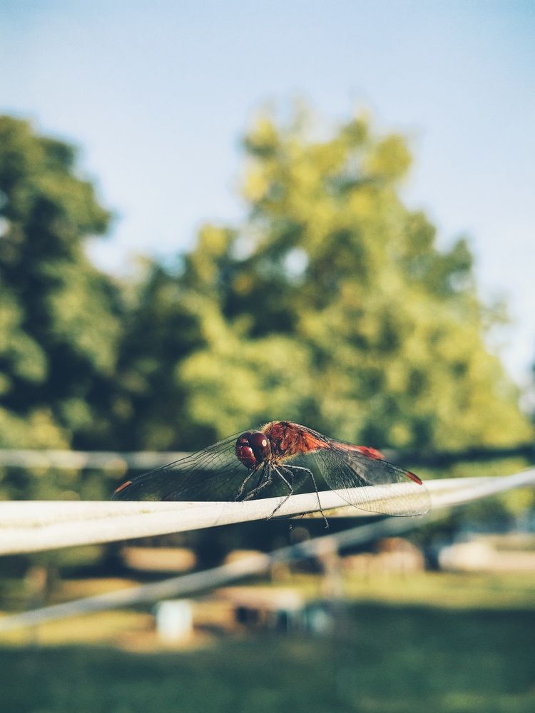 Photograph by Наталья Жуковская