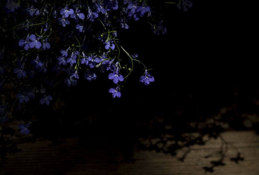 Photograph by Юлия Куликова