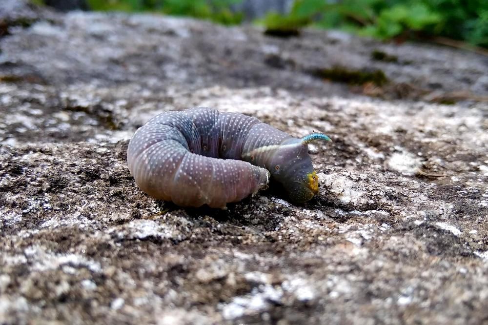 Photograph by  Валентина