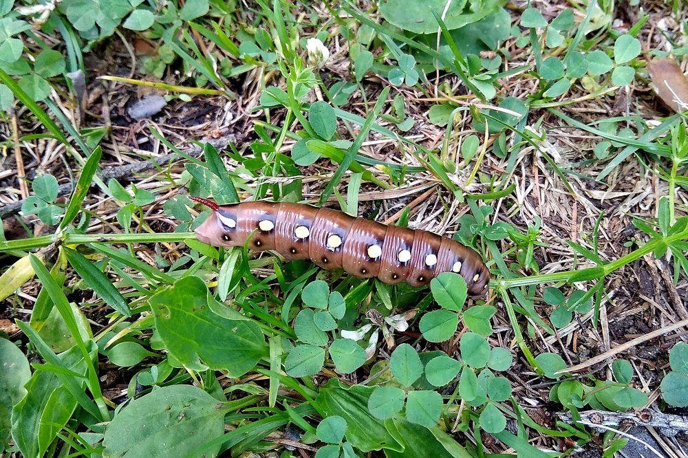 Photograph by  Валентина