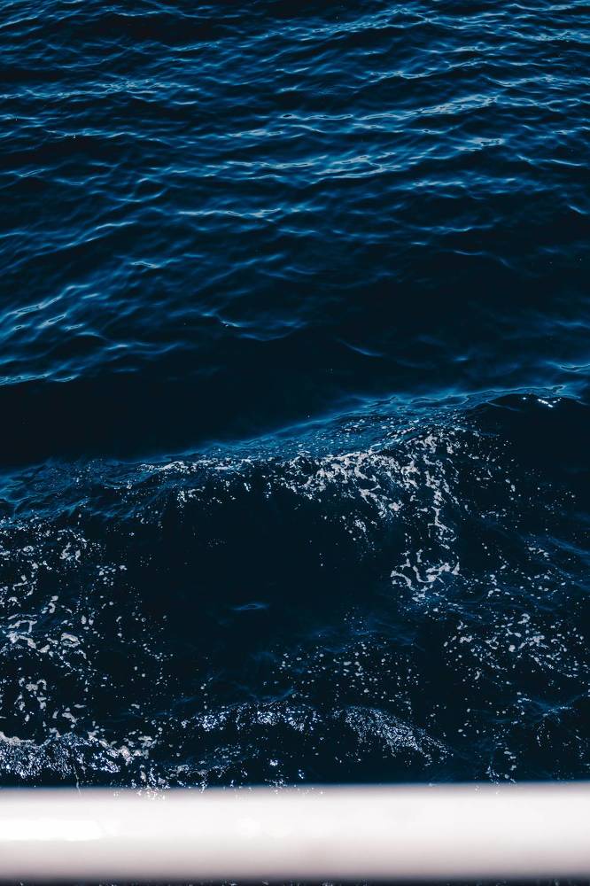 Photograph by Angela