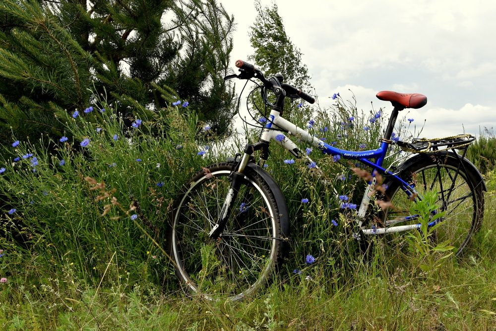 Photograph by Dimon Grinih