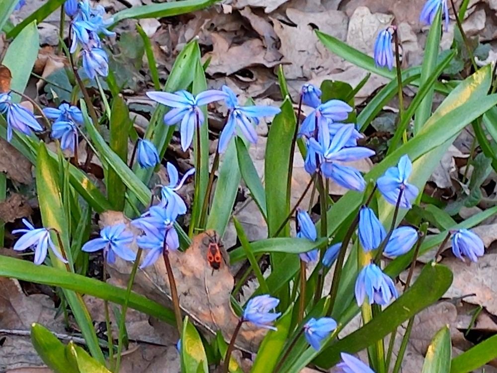 Photograph by Людмила Сотникова