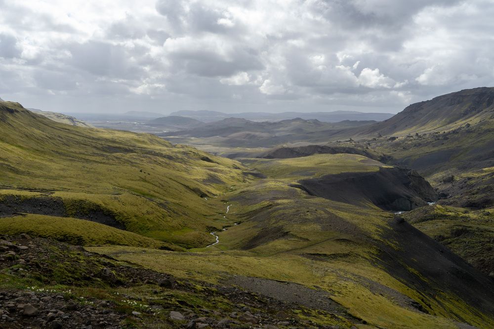 Фотография автора Ирина Зайцева