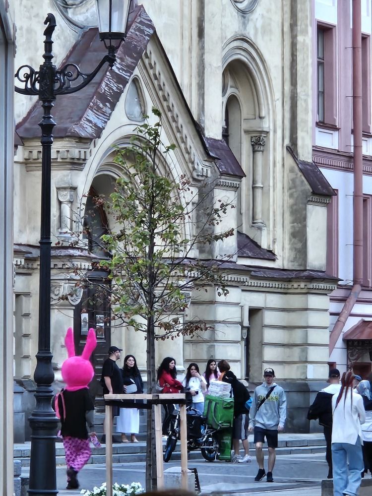 Фотография автора Ольга Феофанова