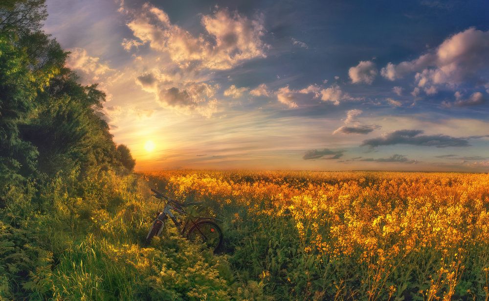 Photograph by Владимир