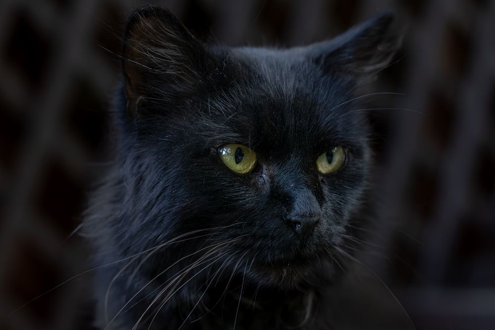 Photograph by Юлия Куликова