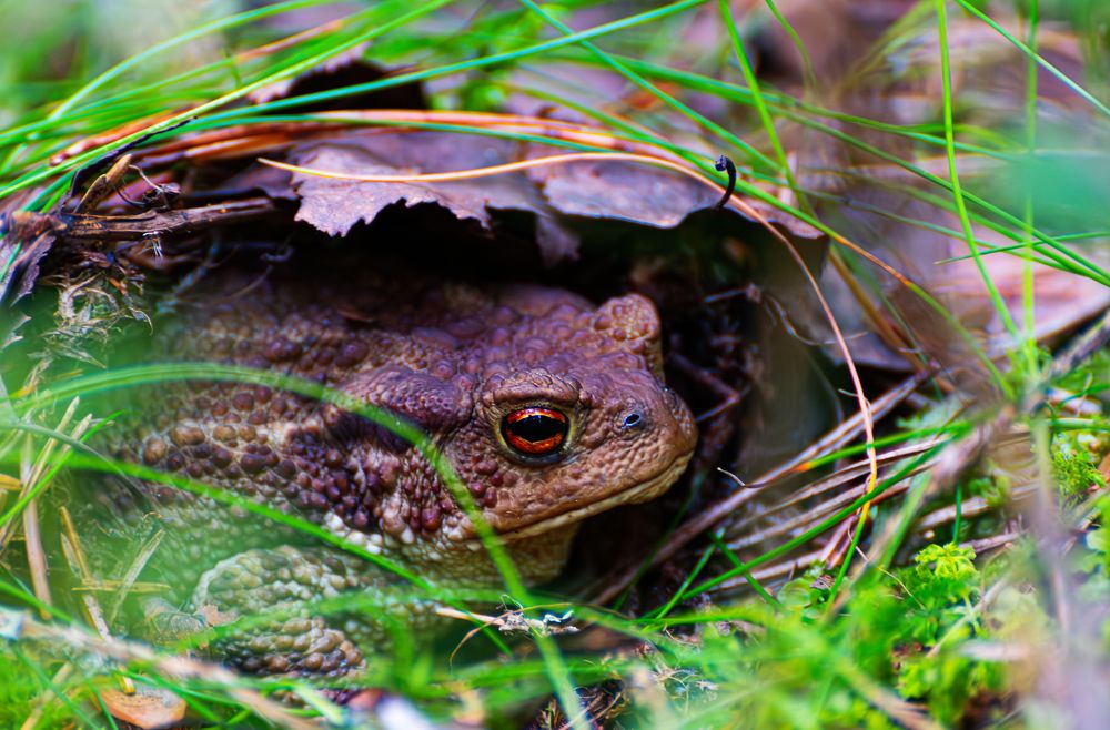 Photograph by Марина Шоркина