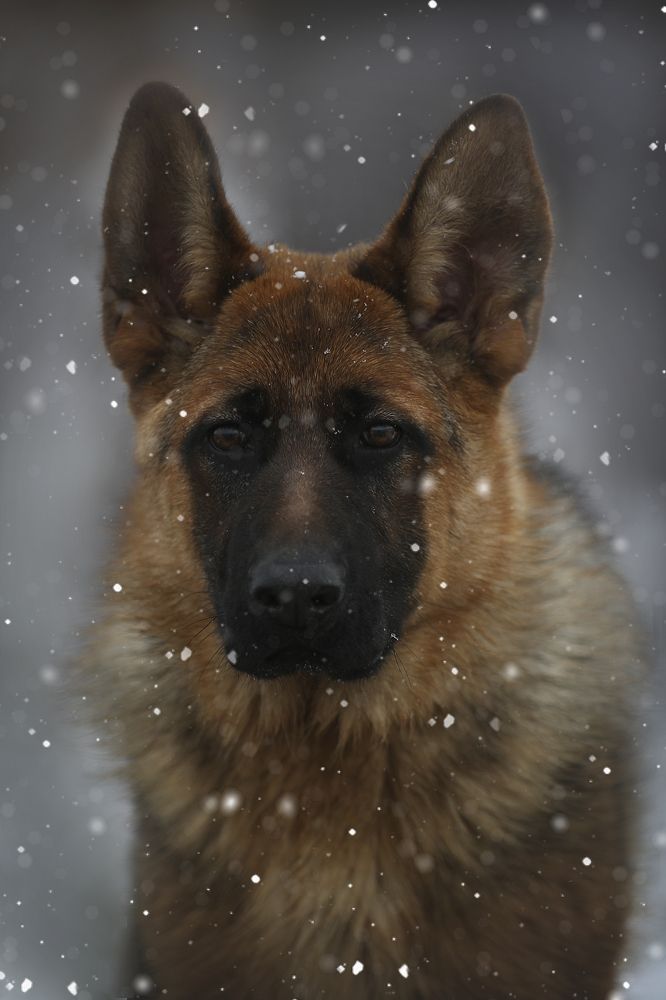 Photograph by Кристина Невлер