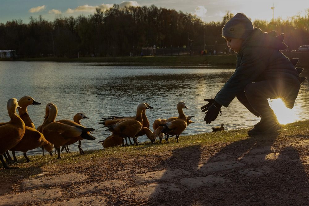 Photograph by Наталья Сафронова