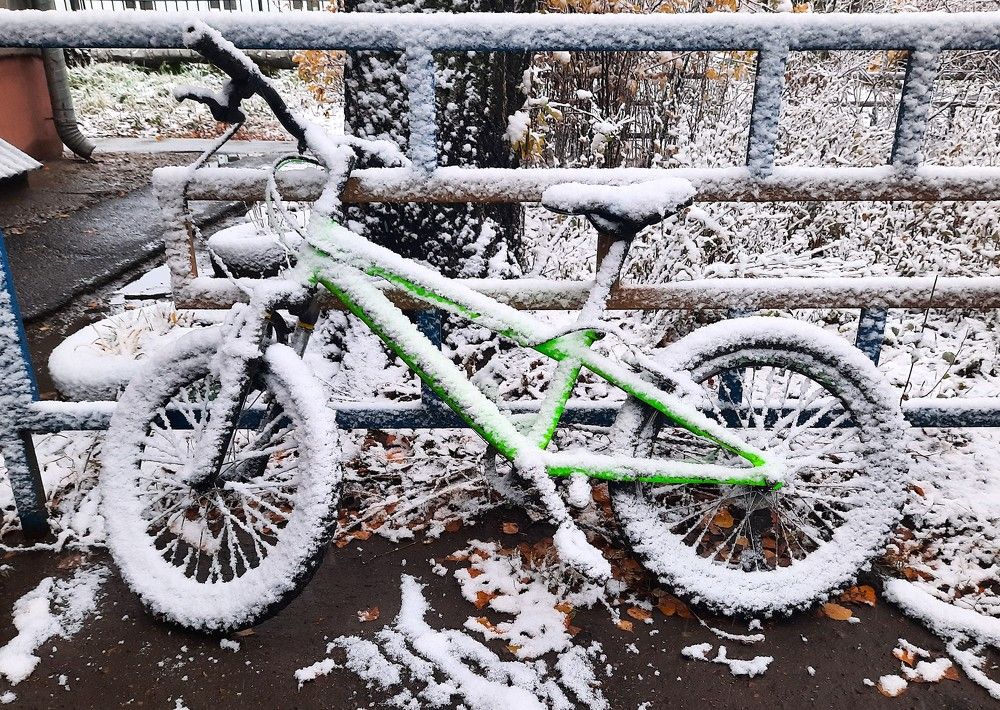 Фотография автора Елена Пикатова