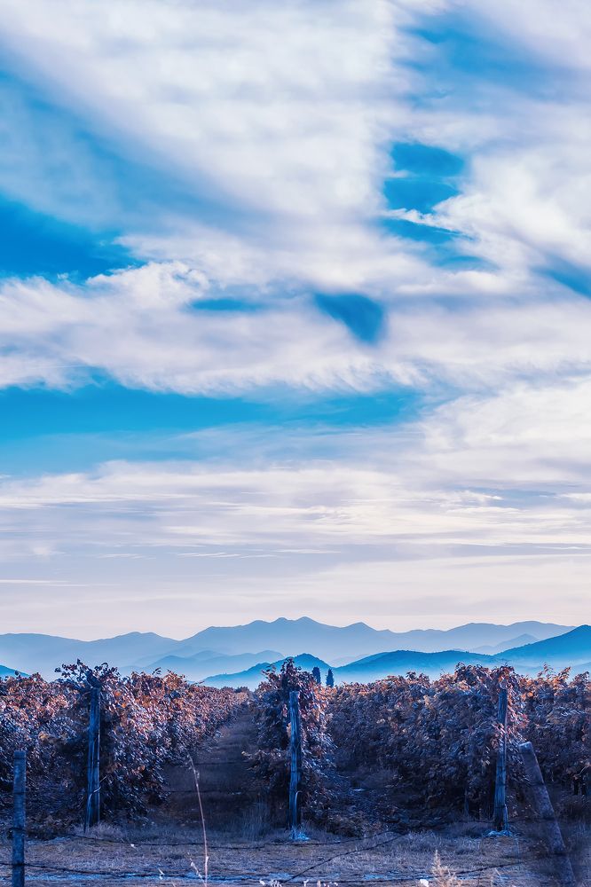 Photograph by Lana Soldatova