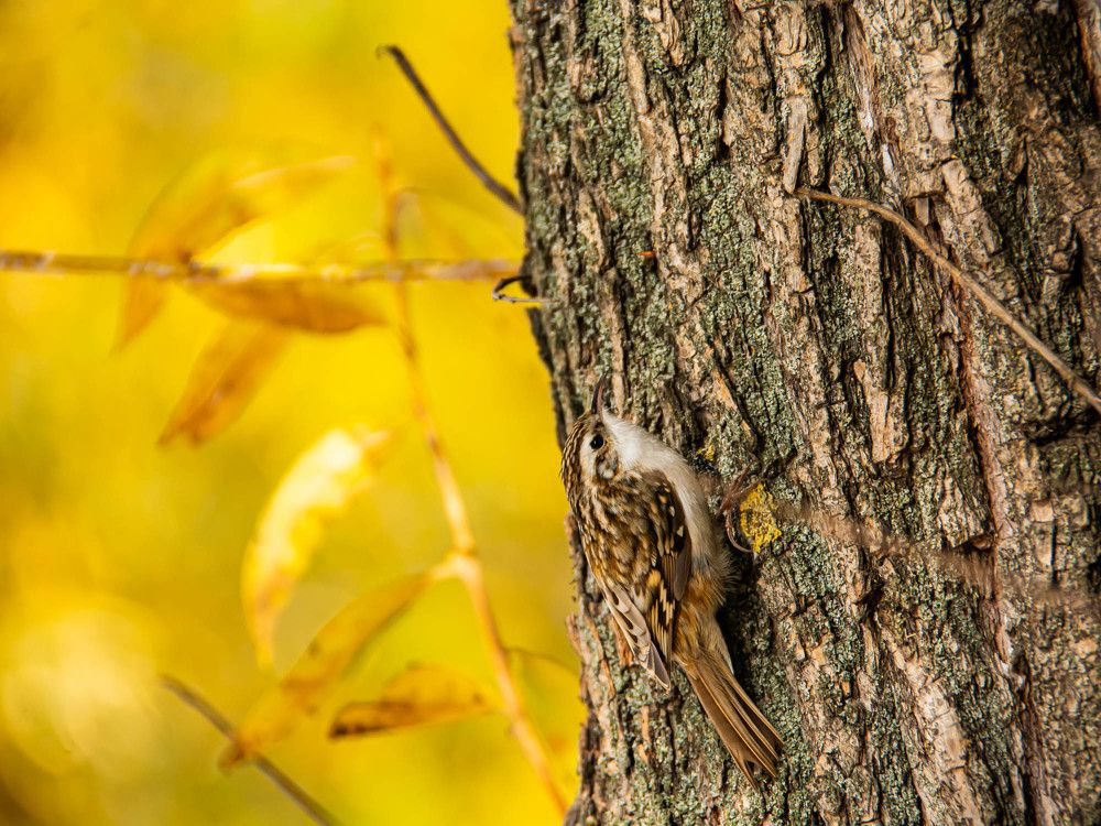 Фотография автора Виктория Зеленкова