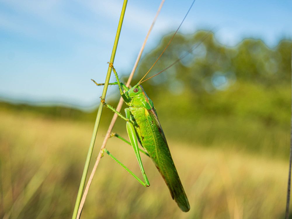 Фотография автора Виктория Зеленкова