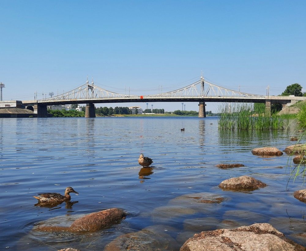 Фотография автора Елена Пикатова