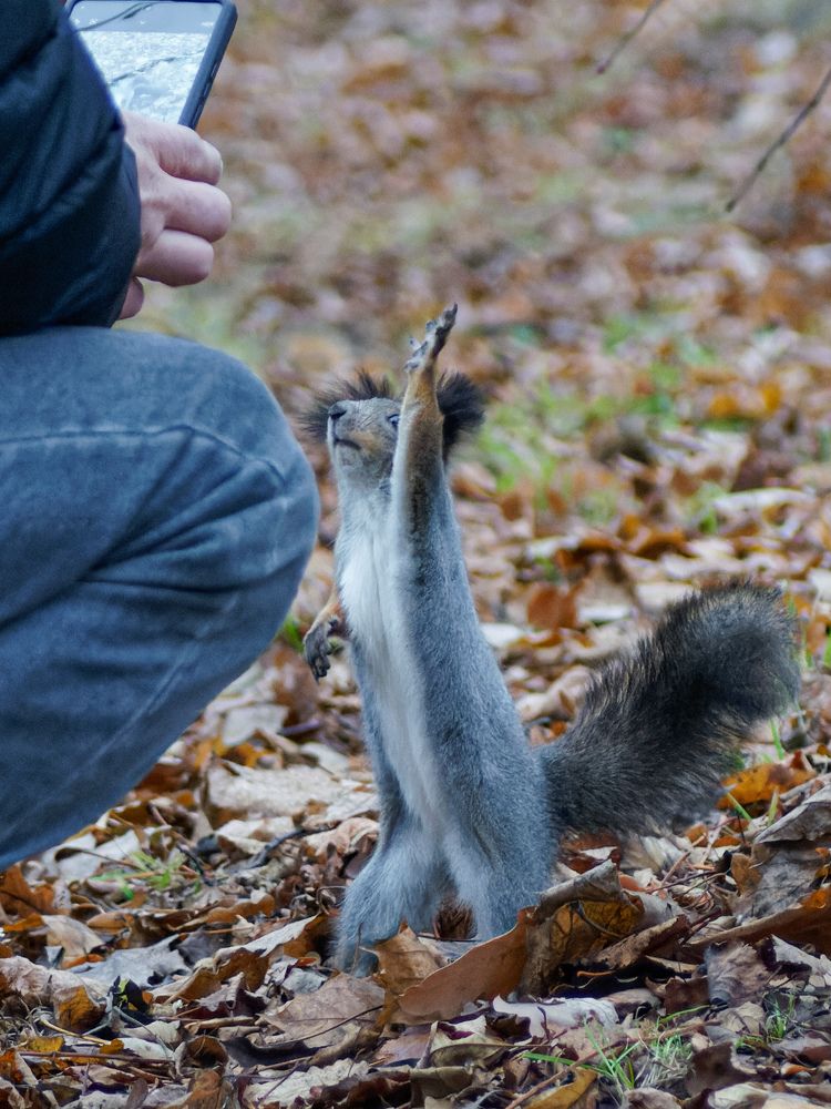 Photograph by Карина Заводчикова