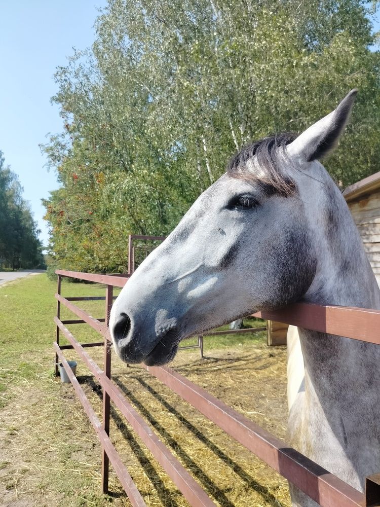 Фотография автора Наталья Драгун