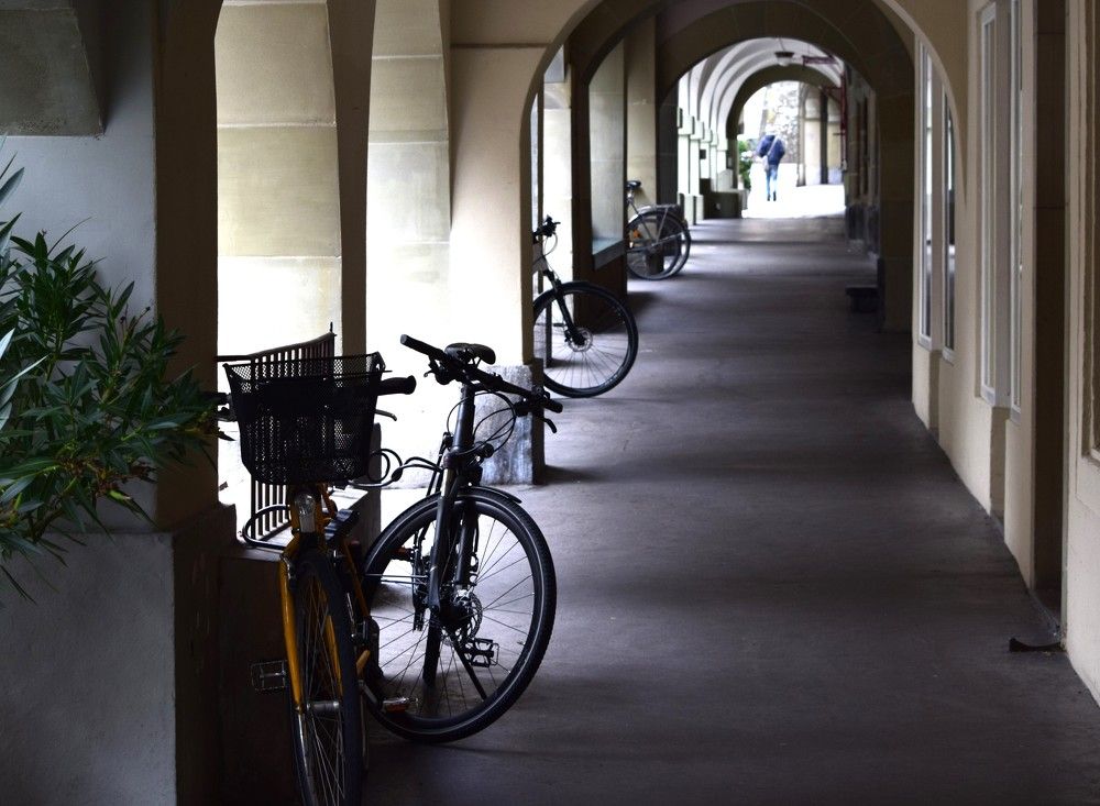 В ожидании хозяев