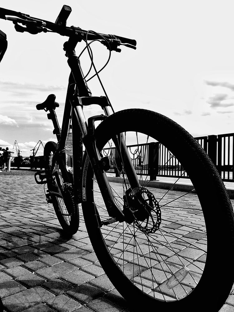 Photograph by Мария Тёмкина