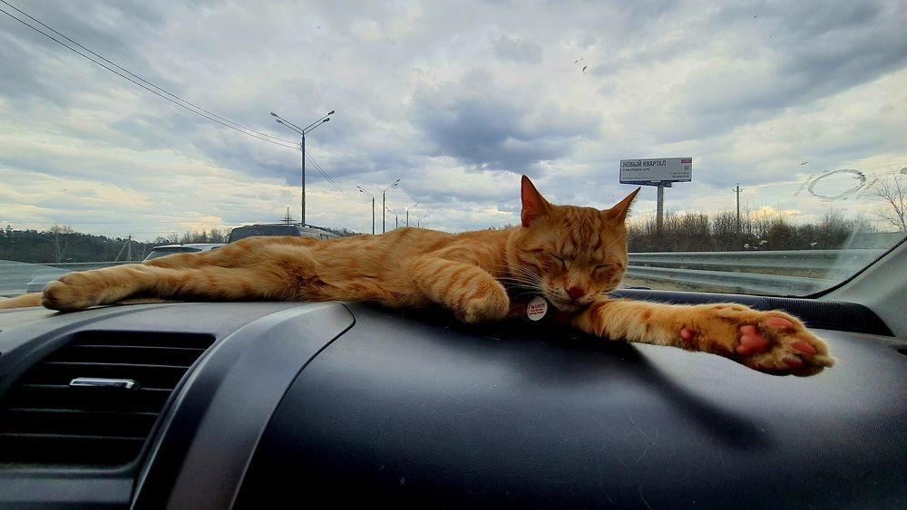 Photograph by Виктория Образцова