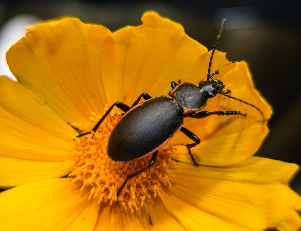 Фотография автора Виктория Зеленкова