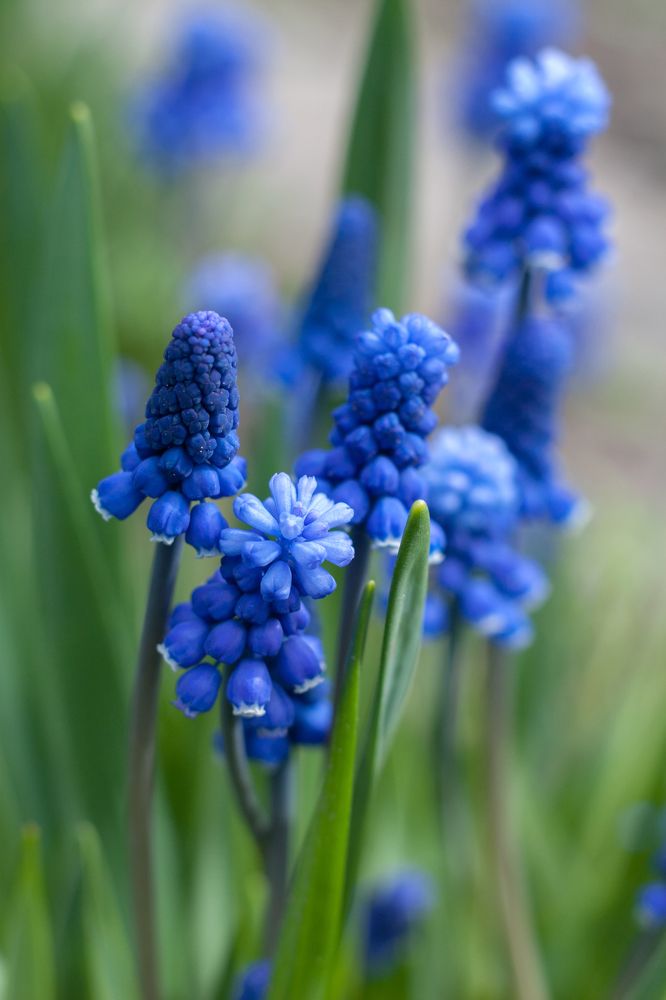 Photograph by Татьяна