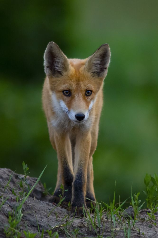 Photograph by Валерий Черняк