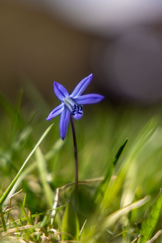 Photograph by Андрей Бовин