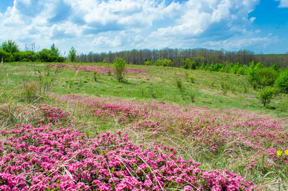 Фотография автора Виктория Зеленкова