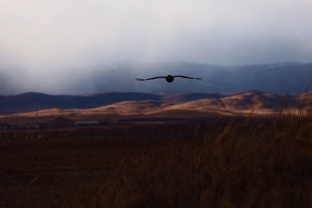 Photograph by Вера Мелёхина